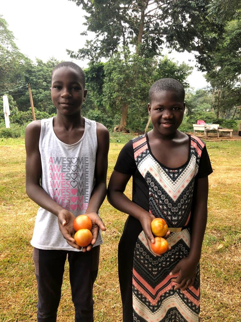 2020 08.06 harvest in the childrens garden min